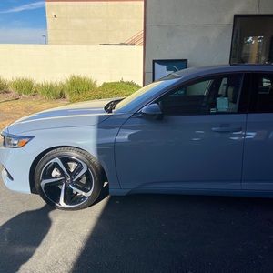 Meet your Posher, Daisy